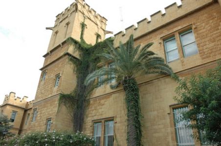 American University Of Beirut